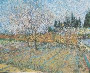 Vincent Van Gogh, Flowering orchard with peach-trees
